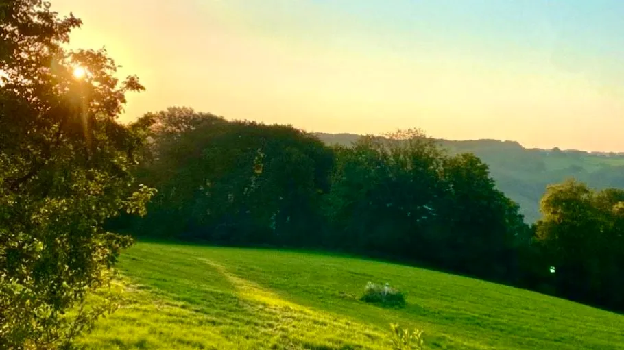 Sunset over a lush green field.