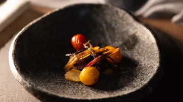 Gourmetgericht mit Tomaten in Steinschale.