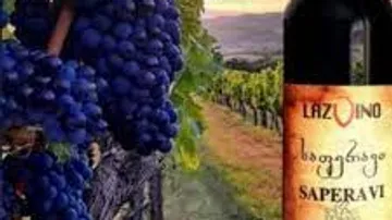 Grapes on vine with Saperavi wine bottle.