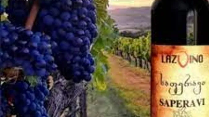 Grapes on vine with Saperavi wine bottle.