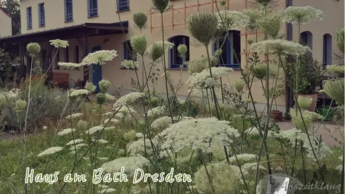 Wildblumen vor einem Gebäude.