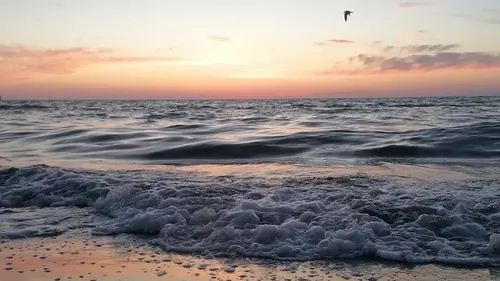 Meereswellen bei Sonnenuntergang, Vogel darüber fliegend.