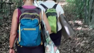 Two people hiking in a forest.