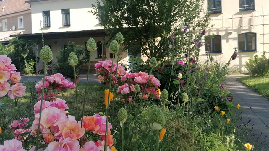 Bunter Garten mit rosa Blumen, Haus im Hintergrund.