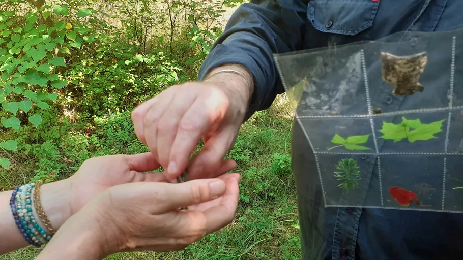 Hands exchanging items outdoors with foliage.
