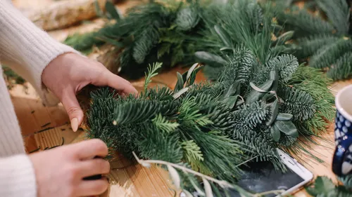 Hands crafting wreath with pine branches.
