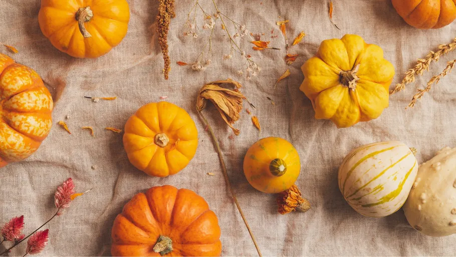 Assorted pumpkins on a textured fabric.