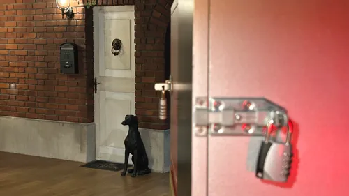 Door with lock, dog statue, brick walls.