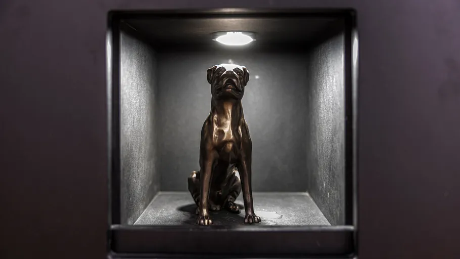 Bronze dog statue in lit display box.