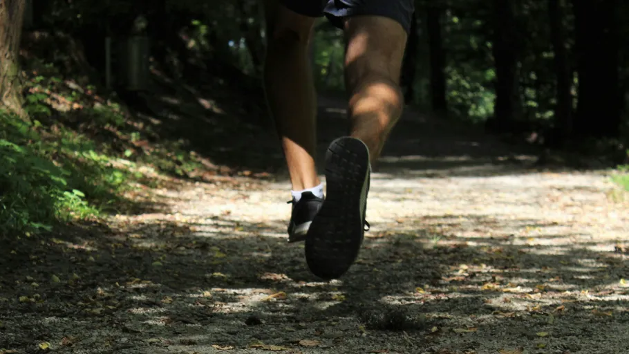 Runner's legs on a forest trail.