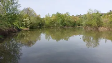 Ruhiger Teich von grünen Bäumen umgeben.