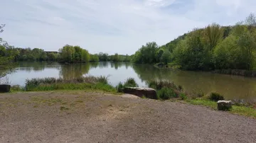 Lake surrounded by trees on a cloudy day.
