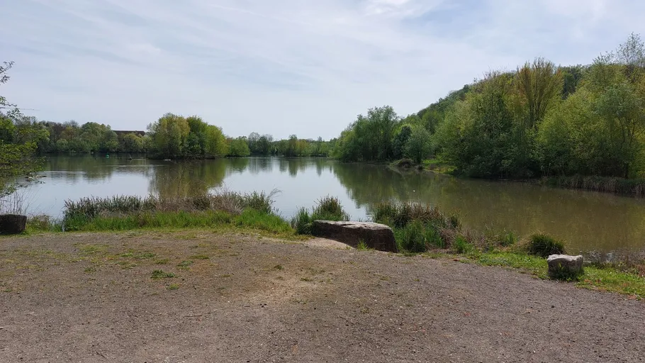 Lake surrounded by trees on a cloudy day.