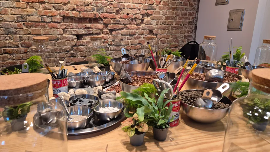 Tisch mit Terrarienbedarf und Pflanzen.