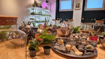 Terrarium-Workshop-Tisch mit Pflanzen und Materialien.