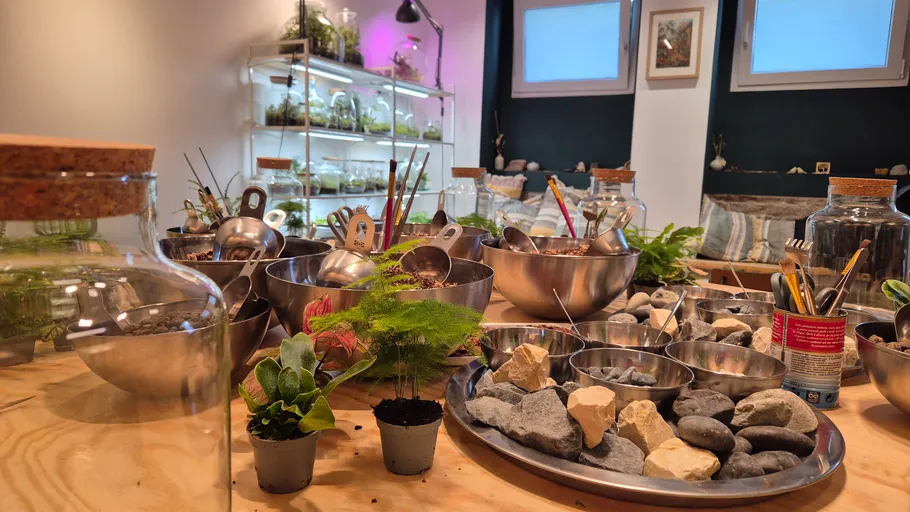 Terrarium workshop table with plants and materials.