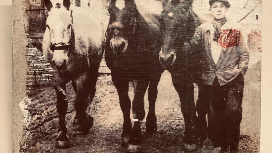 Man standing with three horses in stable.