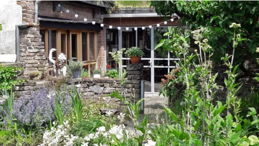 Garten mit Pflanzen und rustikalem Haus.