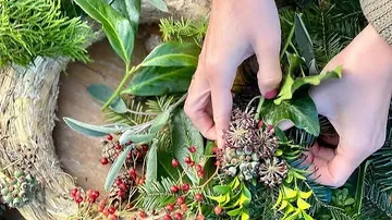 Hands arranging greenery and berries on wreath.