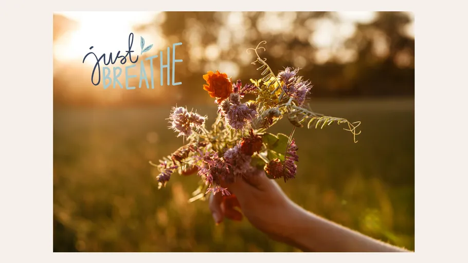 Hand hält Blumen in sonnigem Feld.