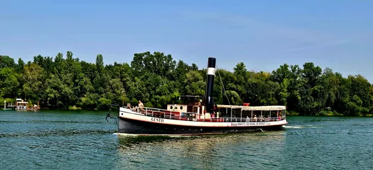 Historic steamship cruising on a river, forest background.