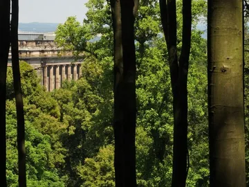 Bäume umrahmen eine Sicht auf ein historisches Gebäude.