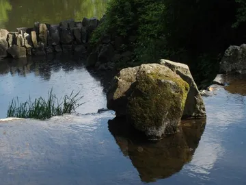 Ein Stein reflektiert im ruhigen Wasser eines Teichs.