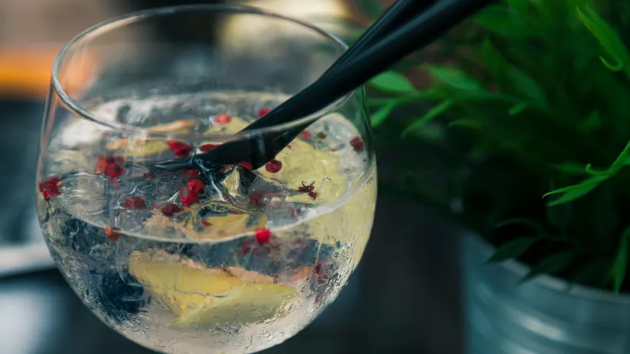 Gin Tonic mit Pfeffer und Garnitur neben Pflanze.