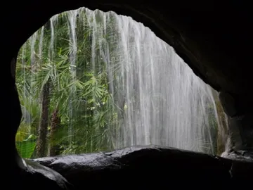 Waterfall flows through a cave exit, surrounded by plants.