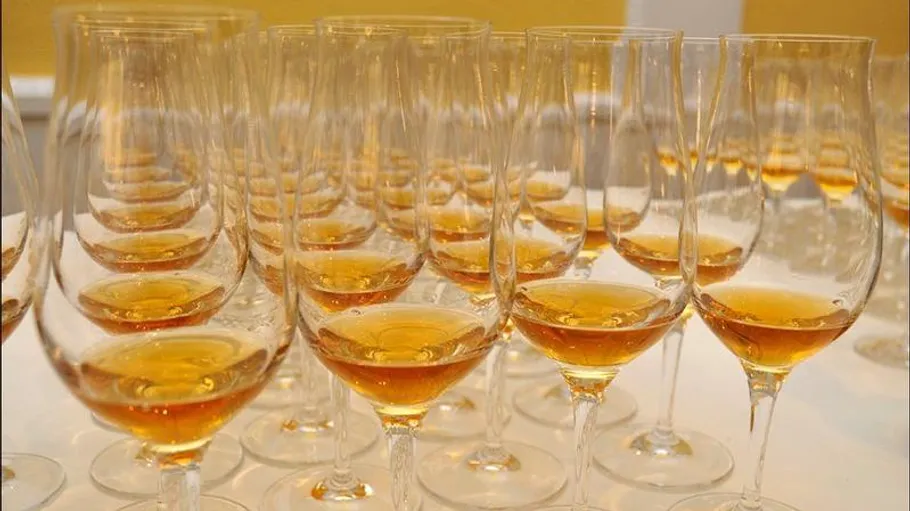Wine glasses filled with amber liquid arranged together.