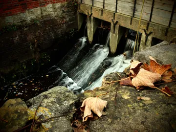Wasser, das durch Herbstlaub über Felsen fließt.