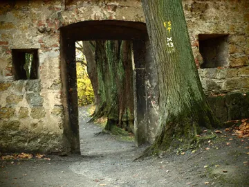 Steintorbogen mit einem von Bäumen gesäumten Weg dahinter.