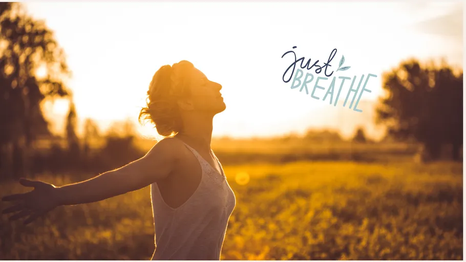 Person enjoying sunset in nature with text.
