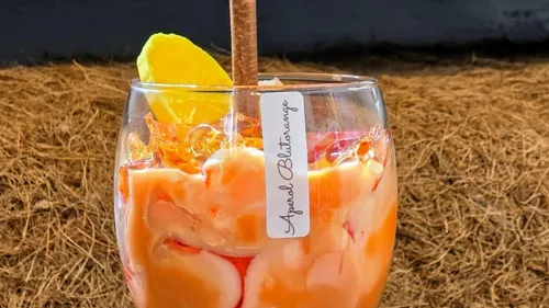 Orange cocktail with ice and a fruit garnish.
