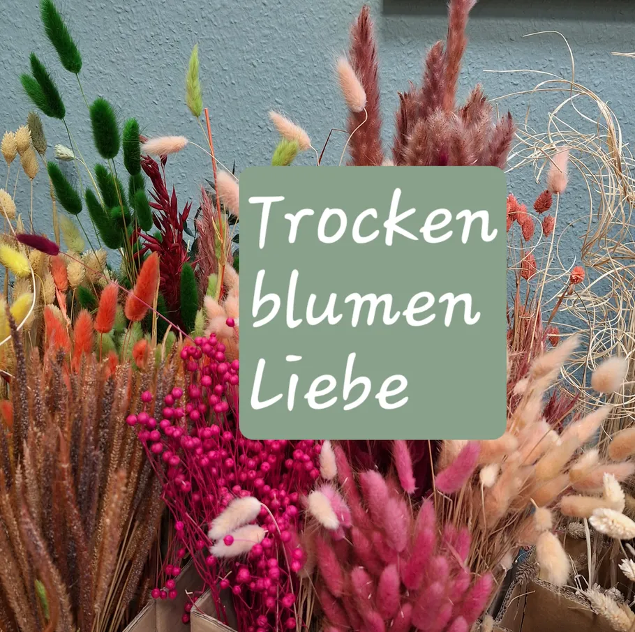 Bunte Trockenblumen vor einer Wand.