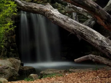 Wasserfall fließt sanft zwischen alten Bäumen und Steinen.