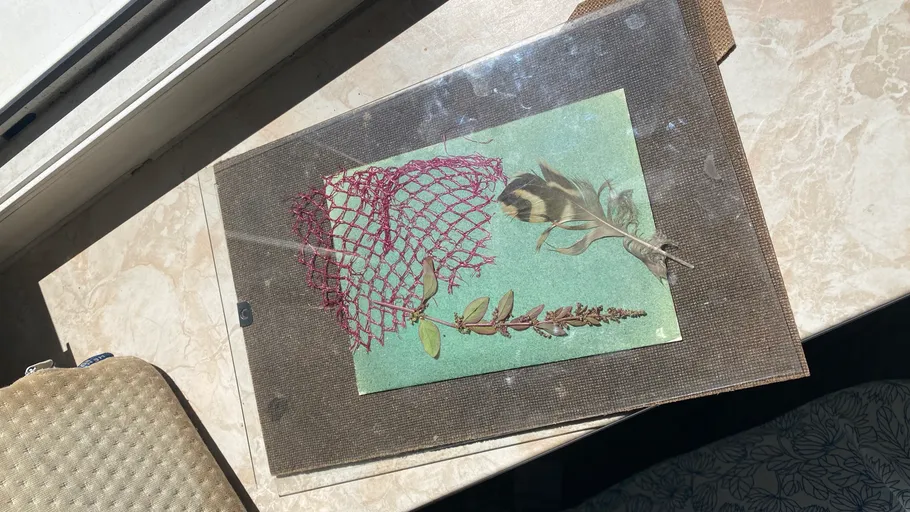 Objects pressed under glass in sunlight.