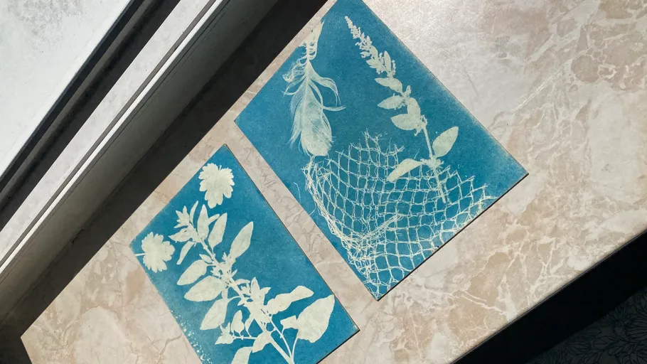 Two cyanotypes of plants on a table.