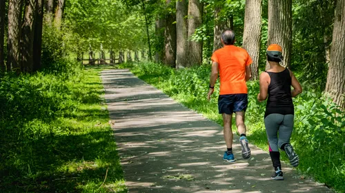 Zwei Personen joggen auf Waldweg.