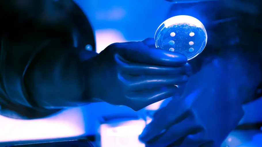 Gloved hands holding petri dish, blue light.
