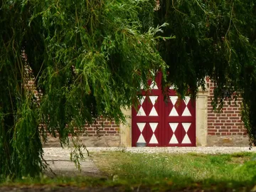 Rote Tür hinter einem Baum, umgeben von Gras und Steinen.