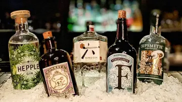 Flaschen Gin auf Eis ausgestellt.