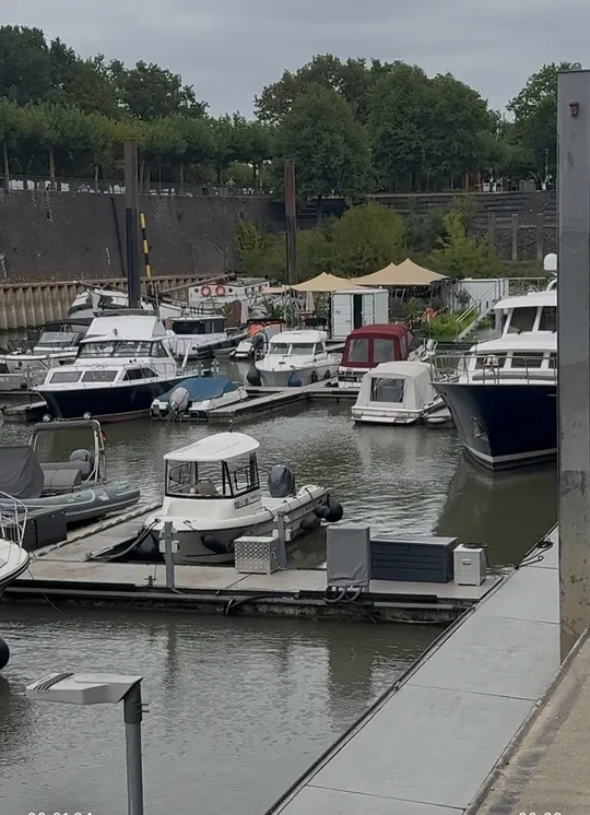 Boats docked in harbor with trees background.