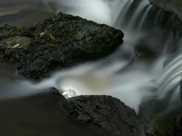 Water flows over stone obstacles in a quiet stream.