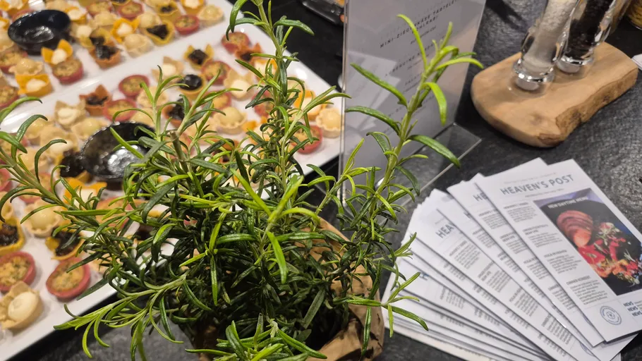 Rosemary plant near tray of appetizers and flyers.