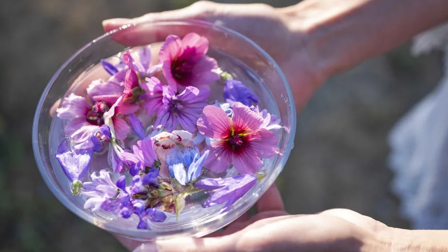 Hände halten Schüssel mit schwimmenden Blumen.