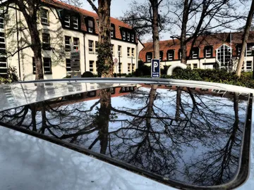 Reflection of trees on a car roof, buildings in the background.
