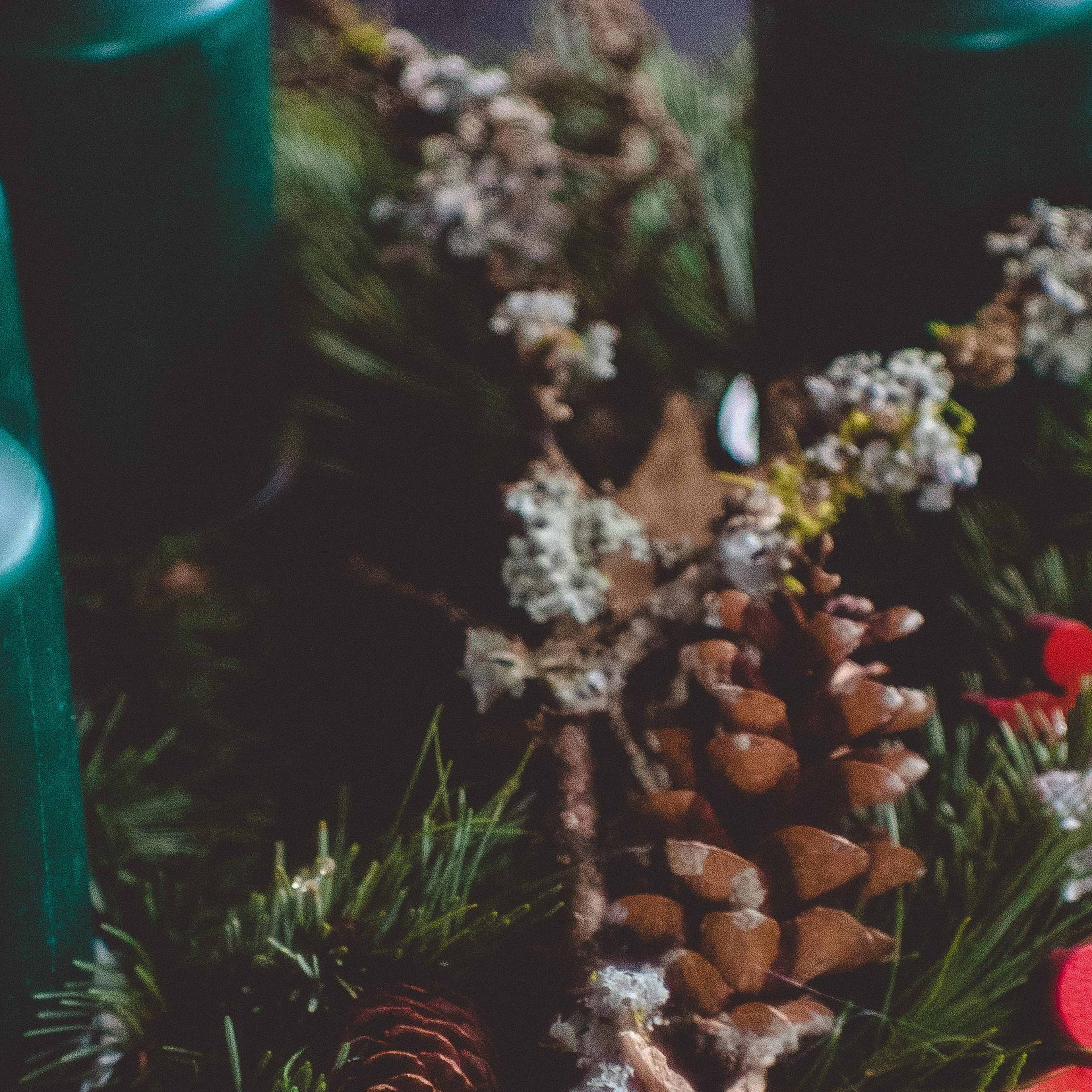 Adventskranz selber binden: Workshop in Magdeburg